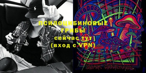 стаф Мегион