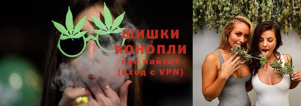 стаф Мегион