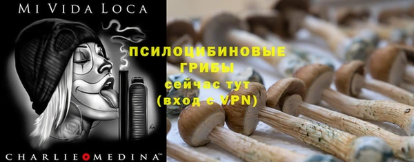 герыч Медногорск