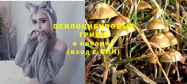 ECSTASY Михайловка