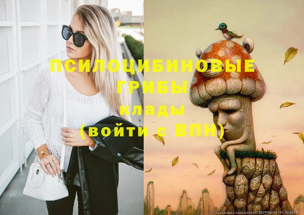 герыч Медногорск