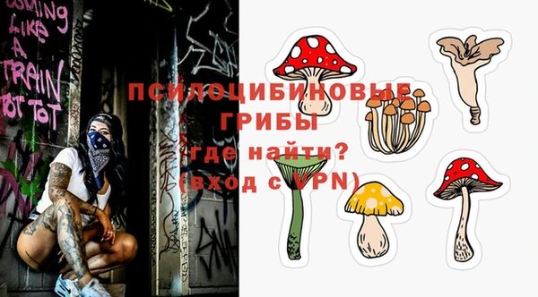 герыч Медногорск