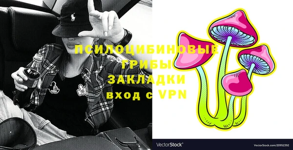 стаф Мегион