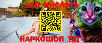 шишки Абинск