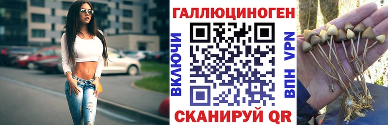 Псилоцибиновые грибы прущие грибы  MEGA ссылки  Абакан  цена  