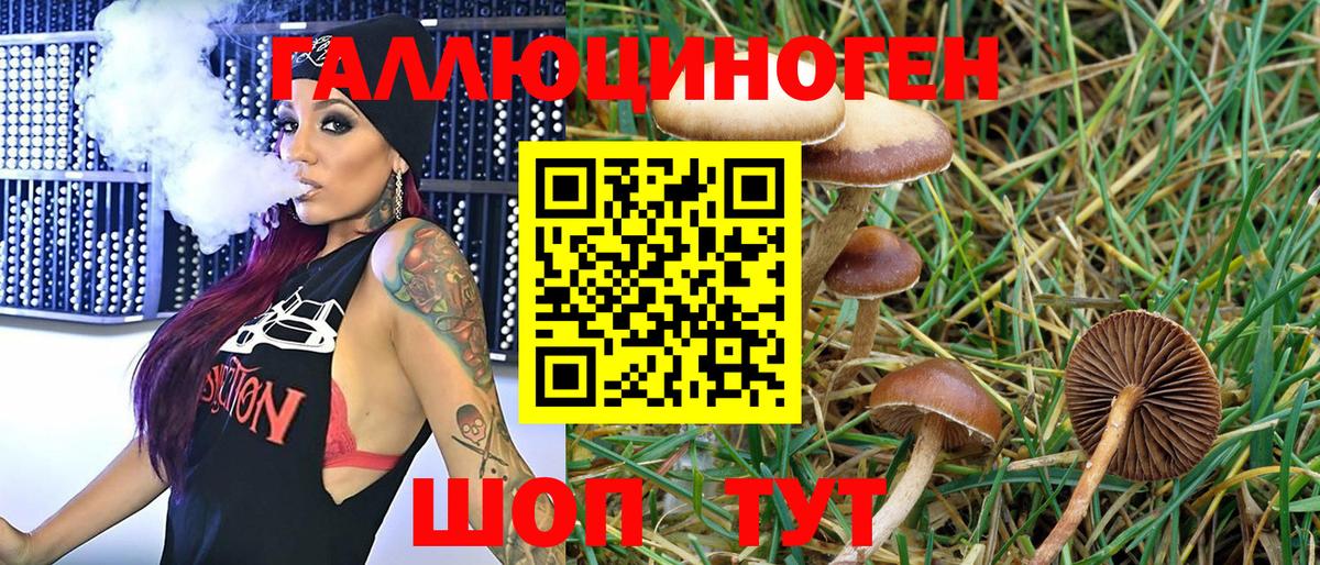 Псилоцибиновые грибы MAGIC MUSHROOMS  Абакан 