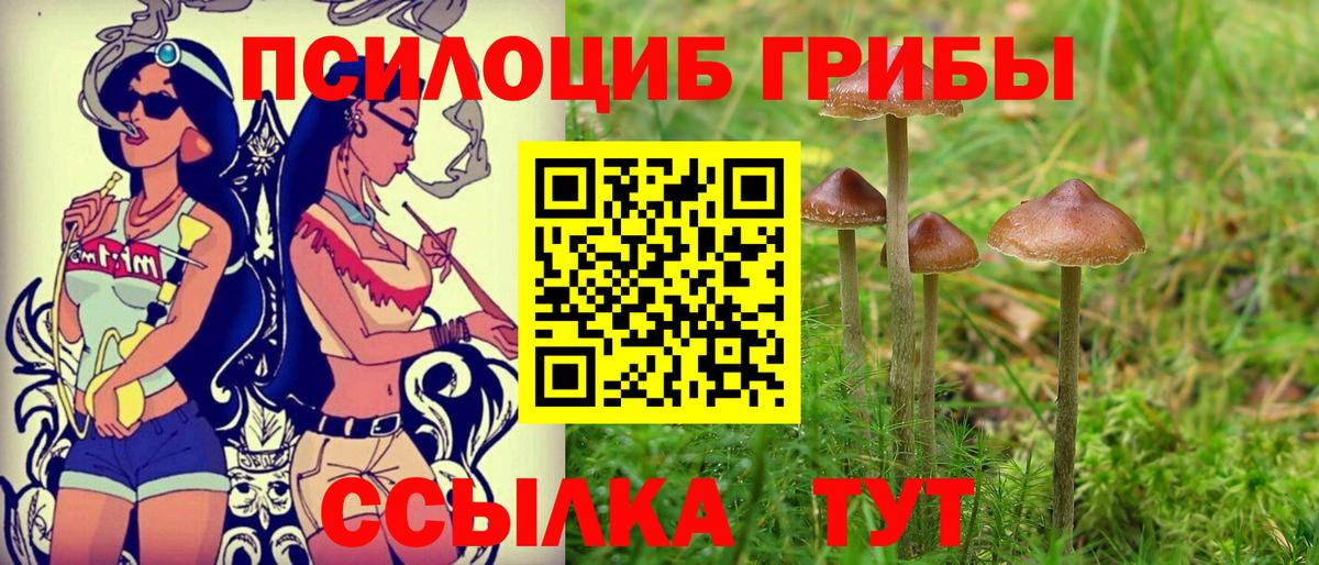 что такое   Псилоцибиновые грибы Cubensis  Вход с VPN  Галлюциногенные грибы MAGIC MUSHROOMS  Абакан 